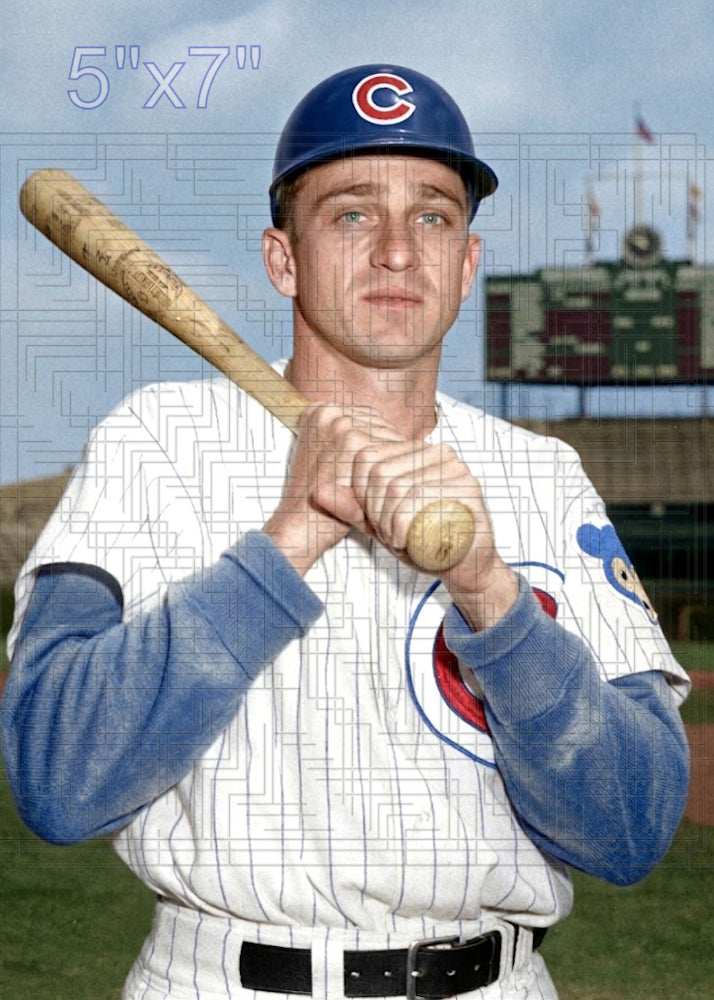 Elder White - 1962 Chicago Cubs - choose a size & style