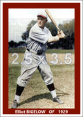 Elliot Bigelow - 1929 Boston Red Sox - choose a size & style