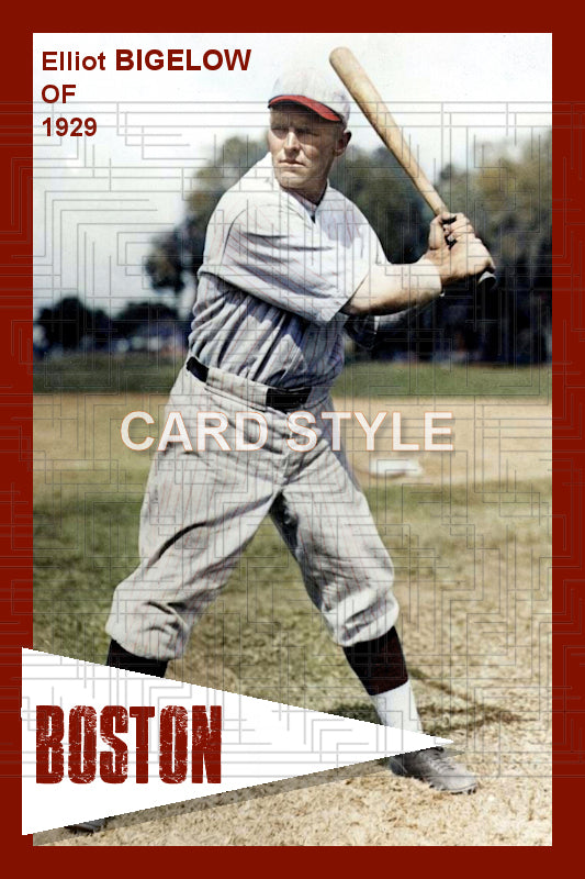 Elliot Bigelow - 1929 Boston Red Sox - choose a size & style