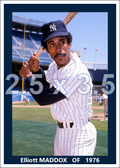 Elliott Maddox - 1976 New York Yankees - choose a size & style