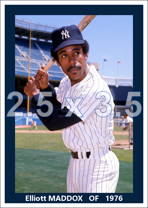 Elliott Maddox - 1976 New York Yankees - choose a size & style