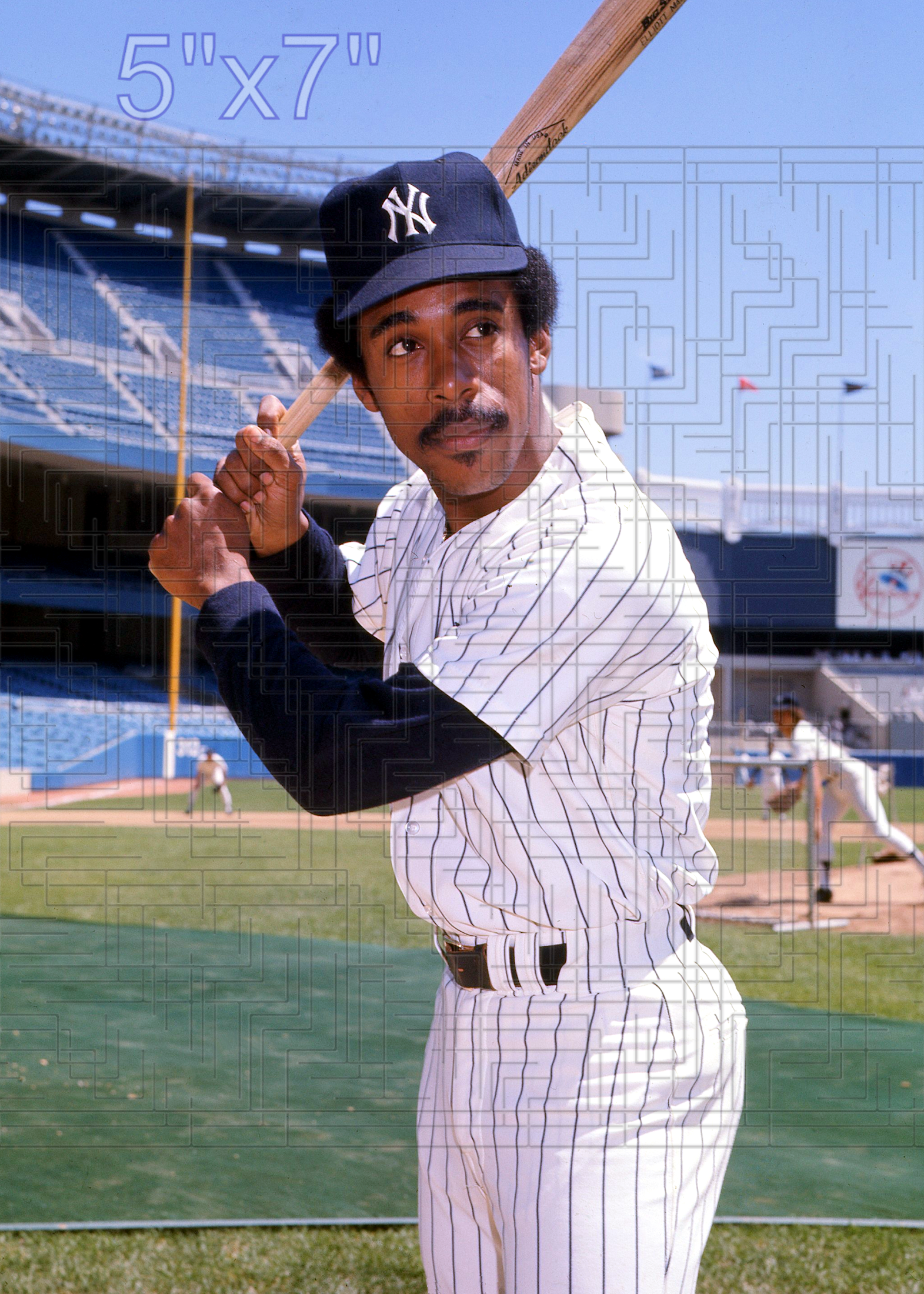 Elliott Maddox - 1976 New York Yankees - choose a size & style