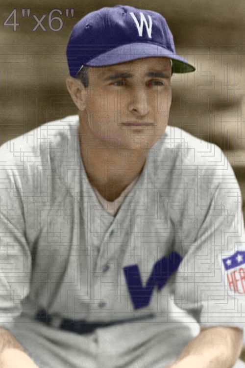 Ellis Clary - 1942 Washington Senators - choose a size & style