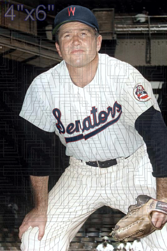 Elmer Valo - 1960 Washington Senators - choose a size & style