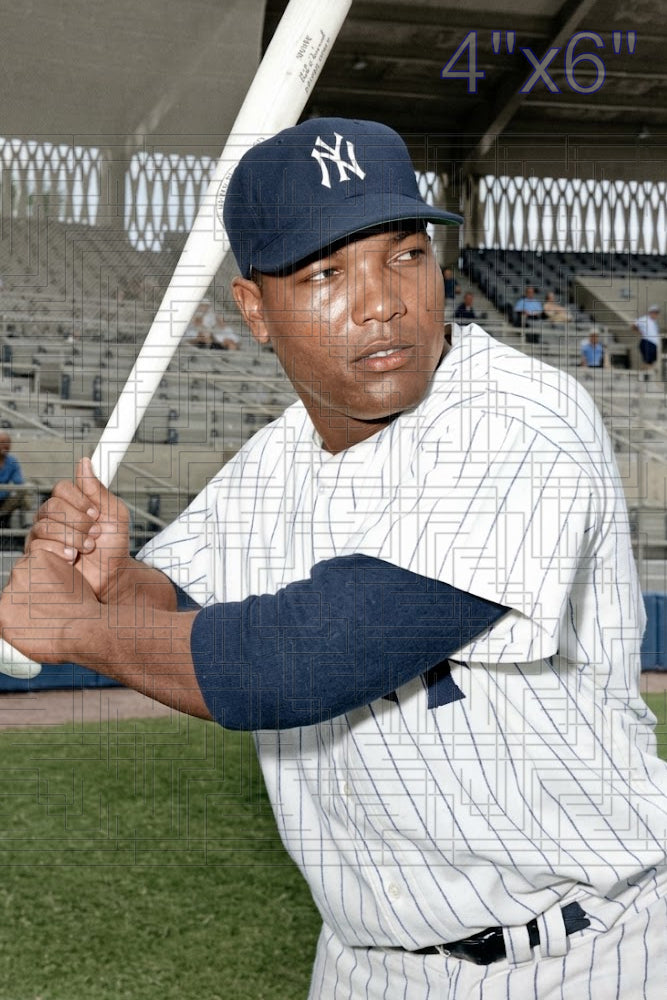 Elvio Jimenez - 1964 New York Yankees - choose a size & style