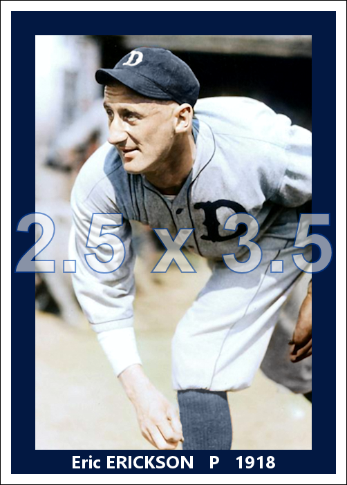 Eric Erickson - 1918 Detroit Tigers - choose a size & style