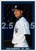 Erick Almonte - 2001 New York Yankees - choose a size & style