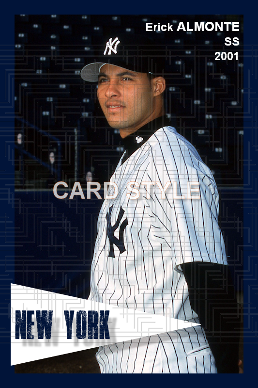 Erick Almonte - 2001 New York Yankees - choose a size & style