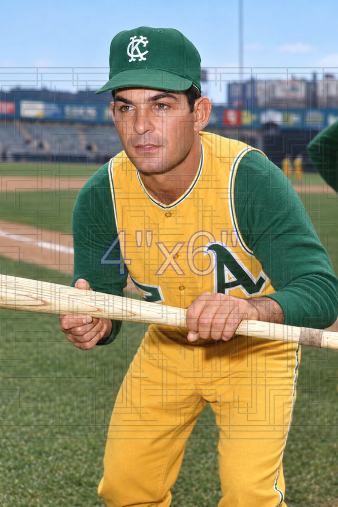 Ernie Fazio - 1966 Kansas City Athletics - choose a size & style