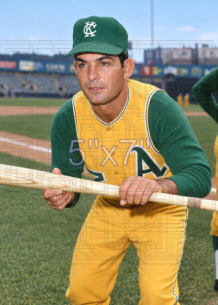 Ernie Fazio - 1966 Kansas City Athletics - choose a size & style