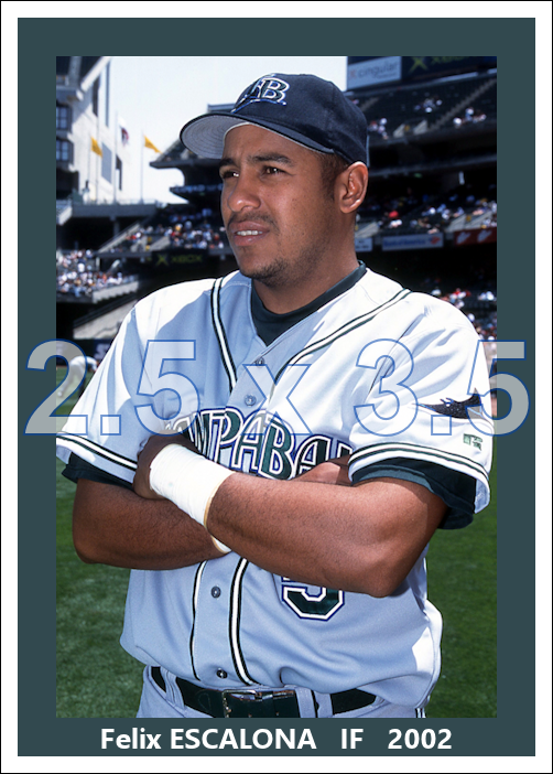 Feliz Escalona - 2002 Tampa Bay Devil Rays - choose a size & style