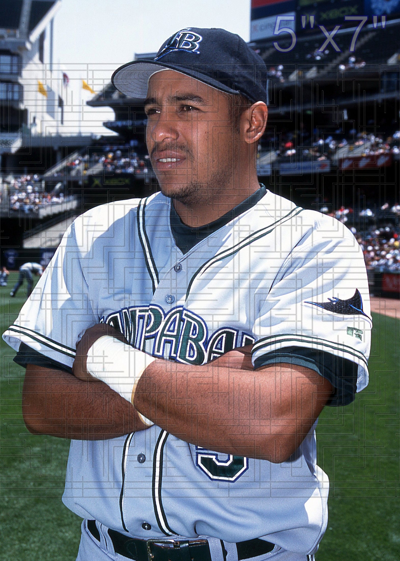 Feliz Escalona - 2002 Tampa Bay Devil Rays - choose a size & style