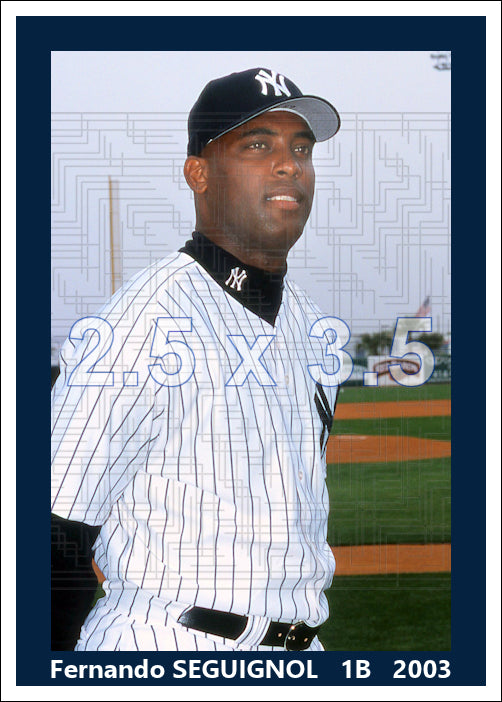 Fernando Seguignol - 2003 New York Yankees - choose a size & style