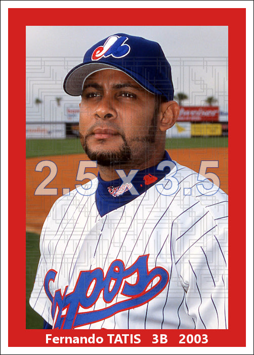 Fernando Tatis - 2003 Montreal Expos - choose a size & style