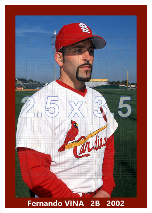 Fernando Vina - 2002 St. Louis Cardinals - choose a size & style