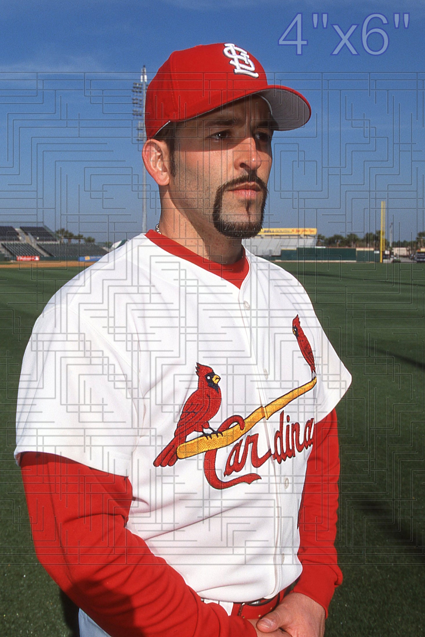 Fernando Vina - 2002 St. Louis Cardinals - choose a size & style