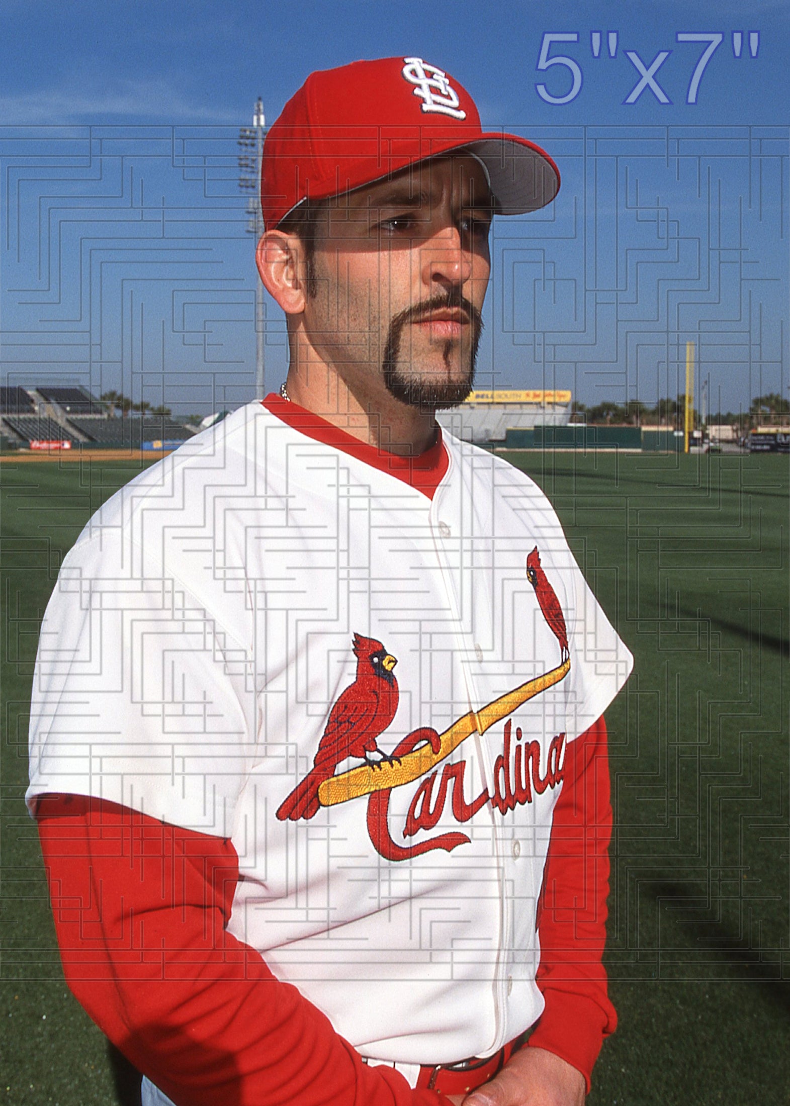 Fernando Vina - 2002 St. Louis Cardinals - choose a size & style