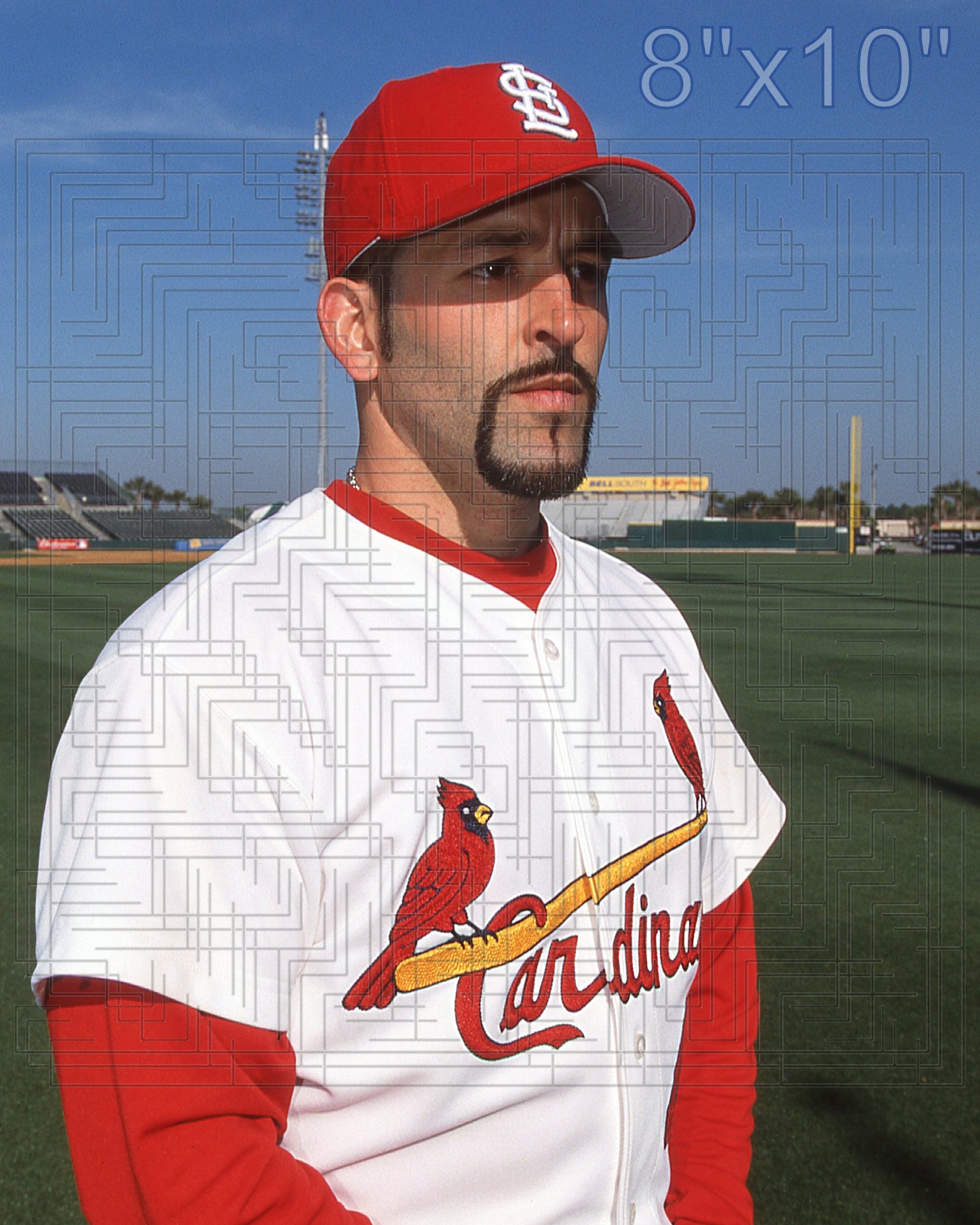 Fernando Vina - 2002 St. Louis Cardinals - choose a size & style