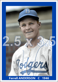 Ferrell Anderson - 1946 Brooklyn Dodgers - choose a size & style