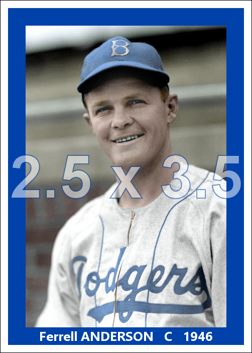 Ferrell Anderson - 1946 Brooklyn Dodgers - choose a size & style
