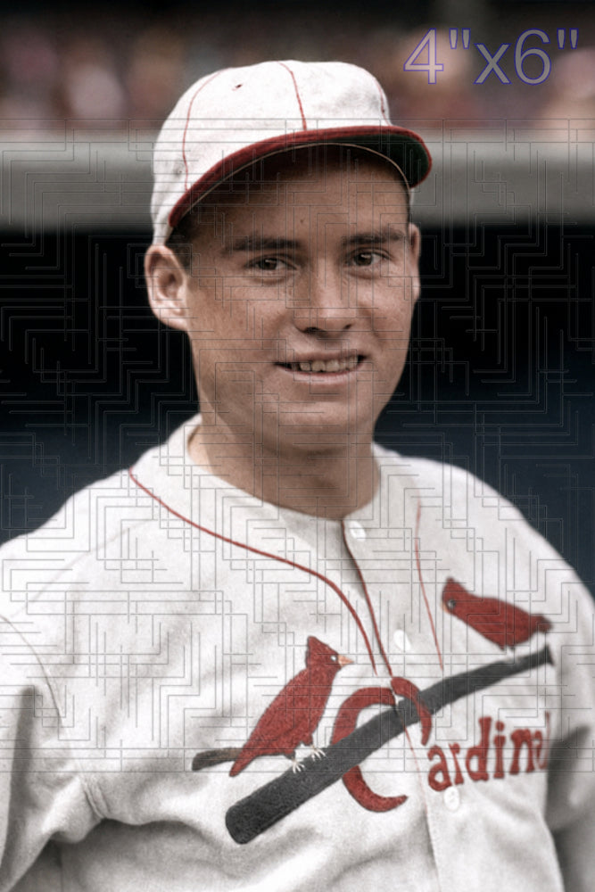 Francis Healy - 1934 St. Louis Cardinals - choose a size & style