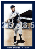 Frank Barnes - 1929 Detroit Tigers - choose a size & style
