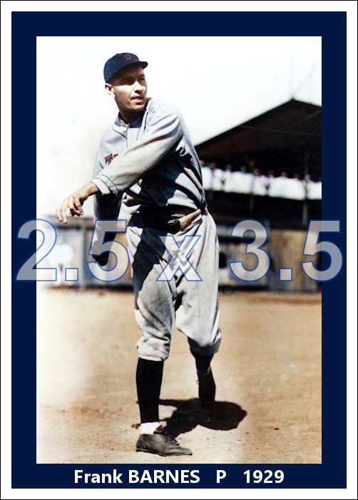 Frank Barnes - 1929 Detroit Tigers - choose a size & style