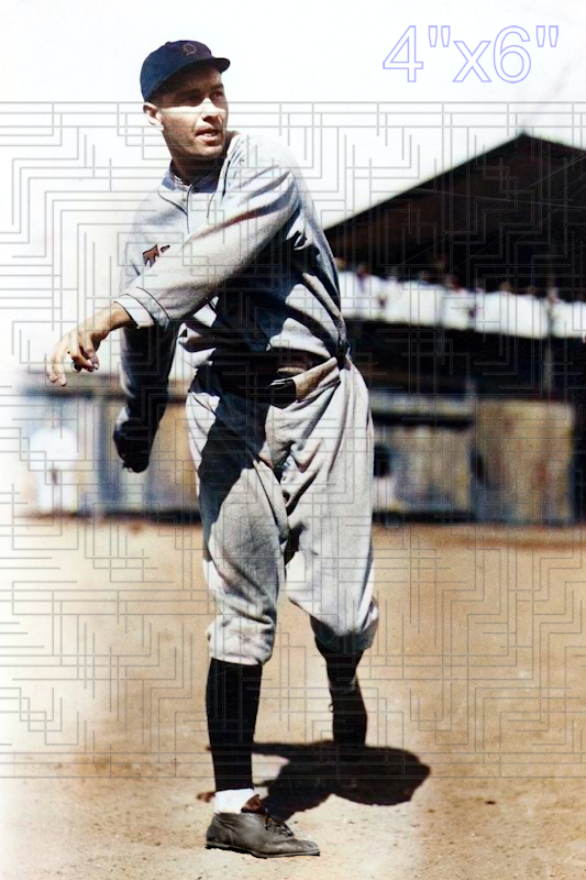 Frank Barnes - 1929 Detroit Tigers - choose a size & style