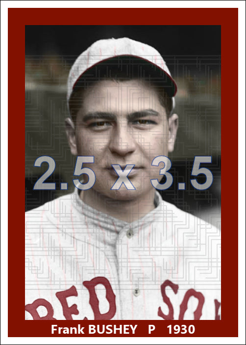 Frank Bushey - 1930 Boston Red Sox - choose a size & style