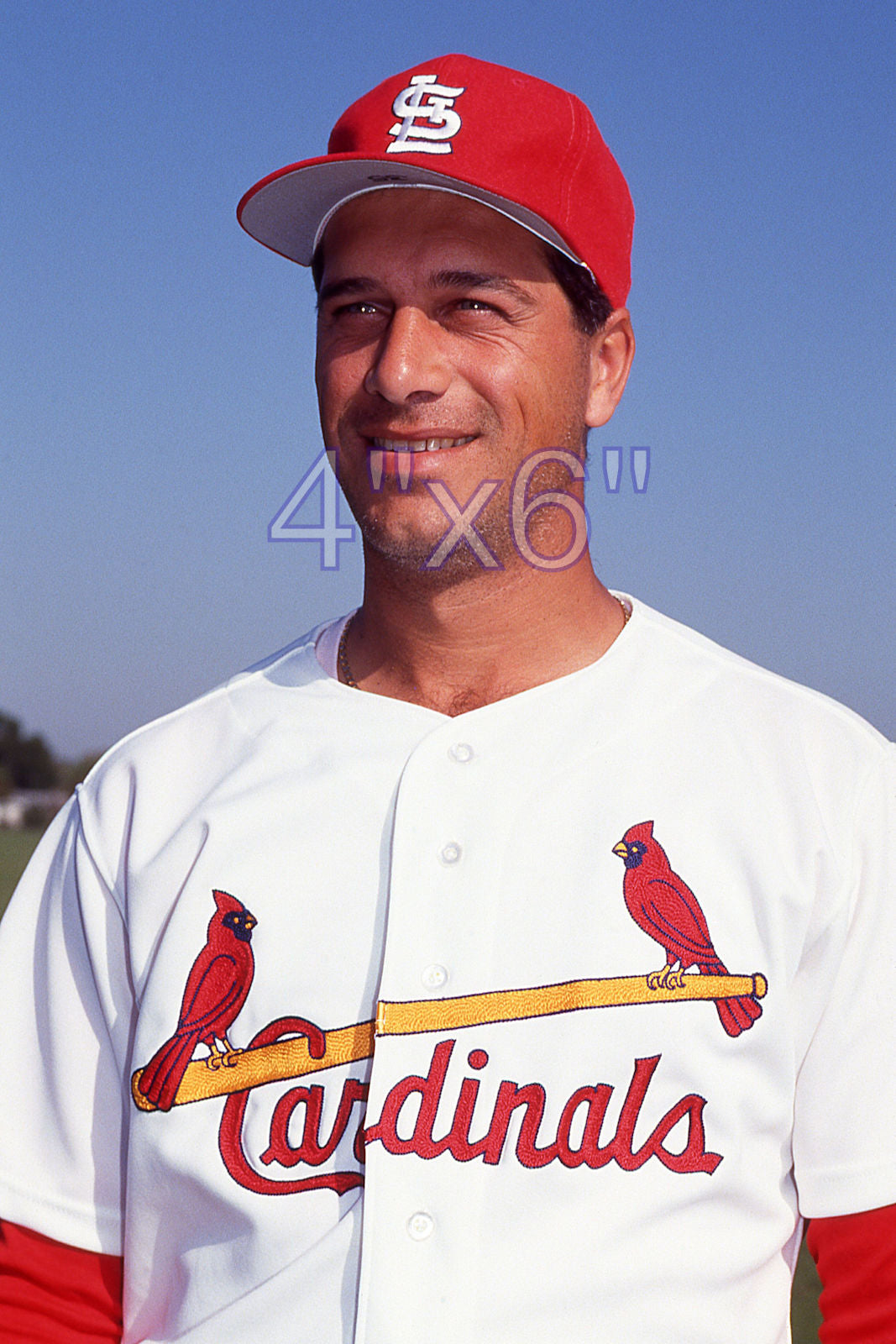 Frank DiPino - 1992 St. Louis Cardinals - choose a size & style