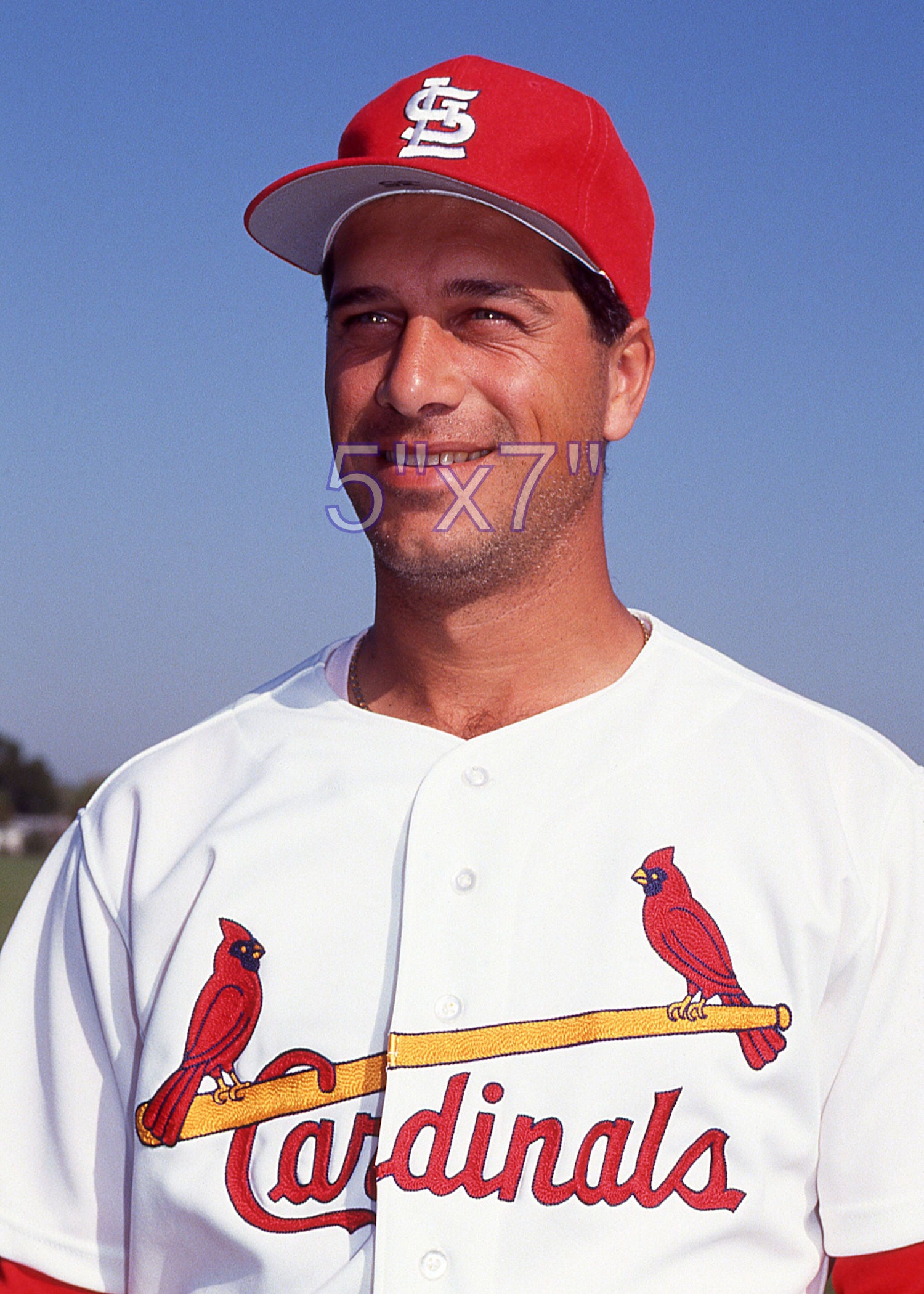 Frank DiPino - 1992 St. Louis Cardinals - choose a size & style