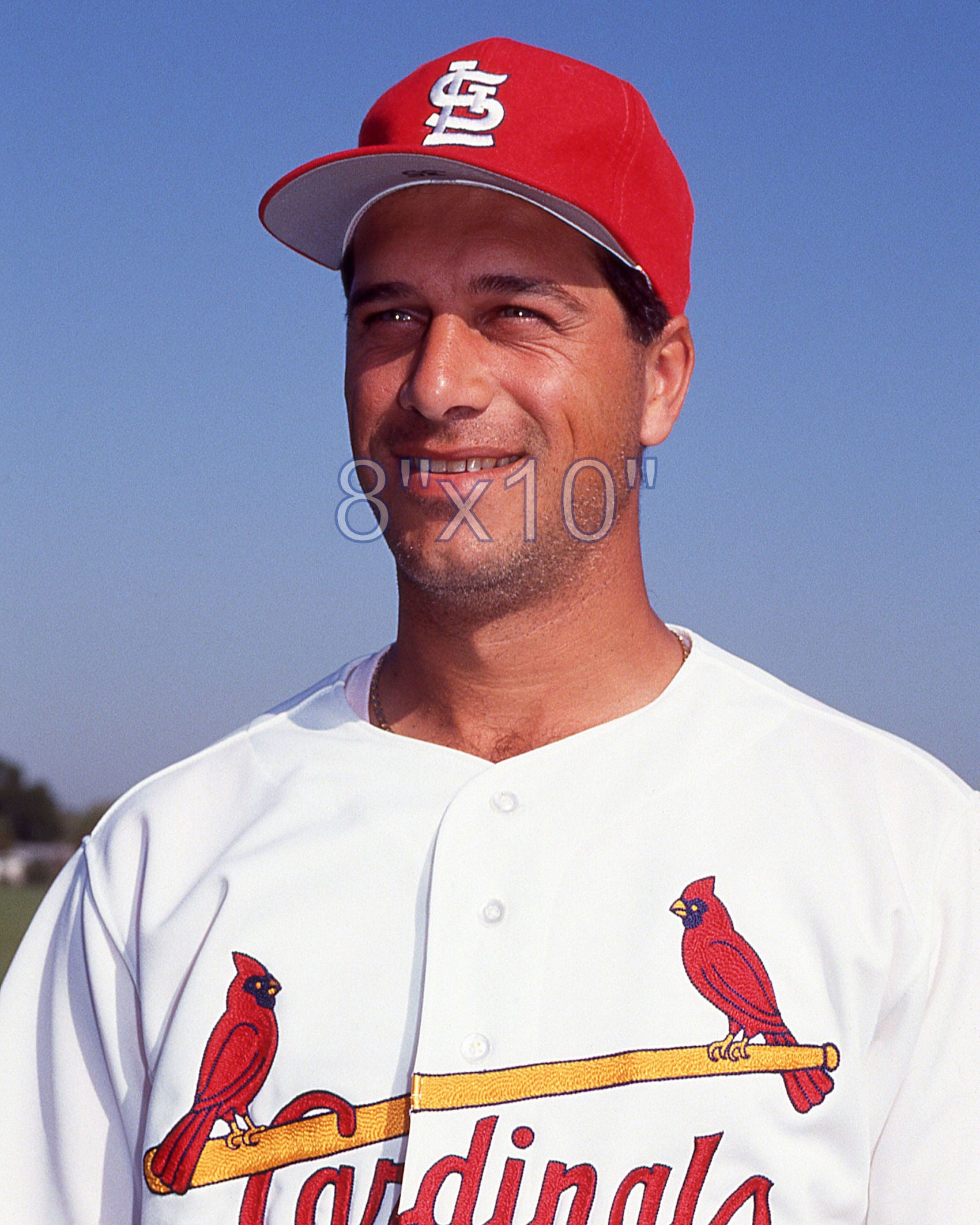 Frank DiPino - 1992 St. Louis Cardinals - choose a size & style
