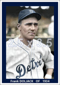 Frank Doljack - 1934 Detroit Tigers - choose a size & style