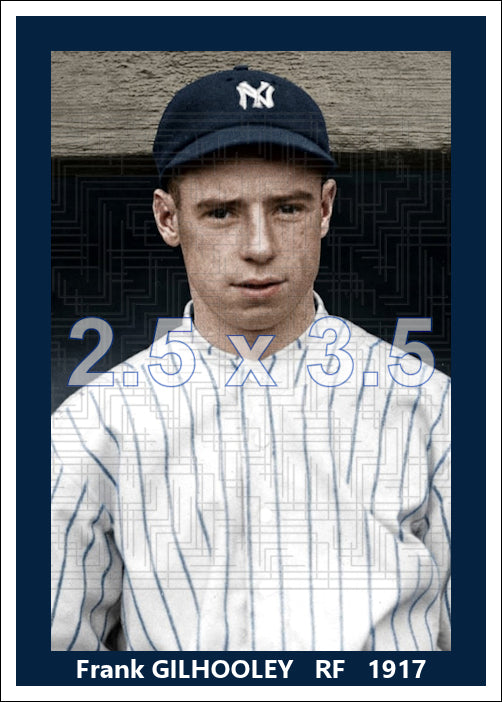 Frank Gilhooley - 1917 New York Yankees - choose a size & style