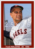 Frank Malzone - 1966 California Angels - choose a size & style
