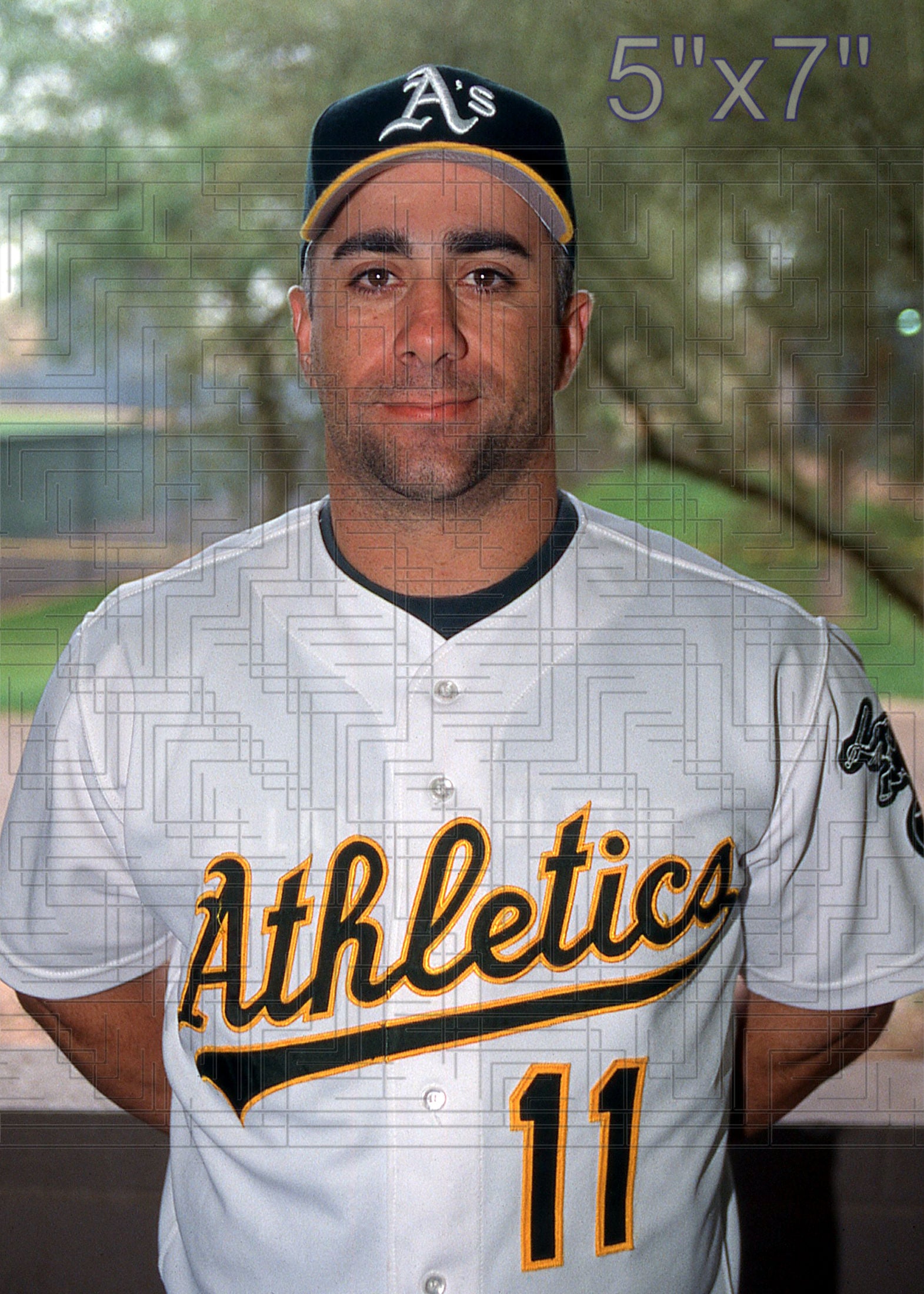 Frank Menechino - 2003 Oakland Athletics - choose a size & style