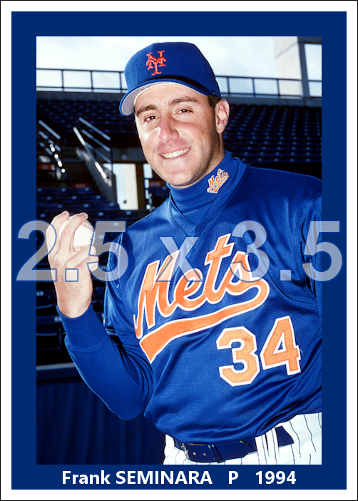 Frank Seminara - 1994 New York Mets - choose a size & style