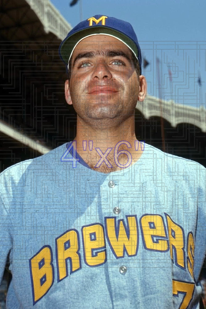 Frank Tepedino - 1971 Milwaukee Brewers - choose a size & style
