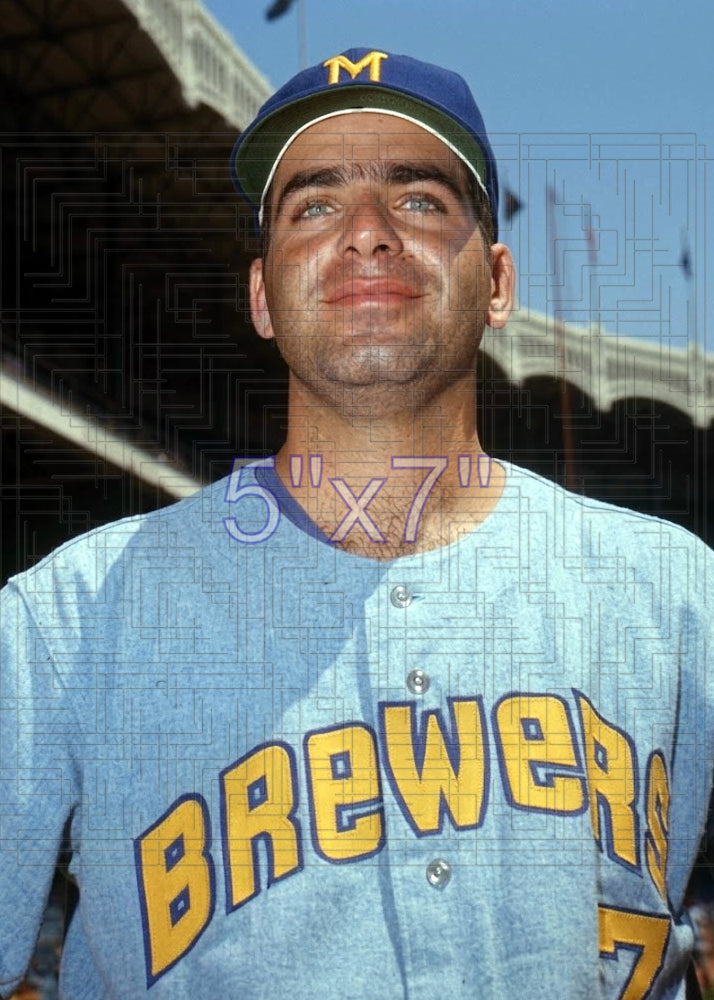 Frank Tepedino - 1971 Milwaukee Brewers - choose a size & style