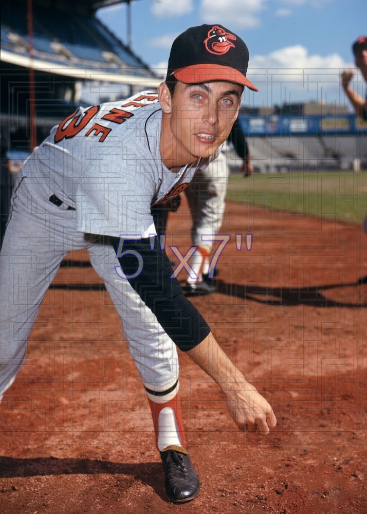 Fred Beene - 1970 Baltimore Orioles - choose a size & style
