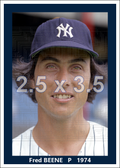 Fred Beene - 1974 New York Yankees - choose a size & style