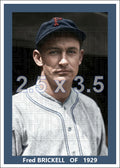 Fred Brickell - 1929 Pittsburgh Pirates - choose a size & style