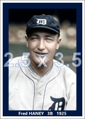 Fred Haney - 1925 Detroit Tigers - choose a size & style