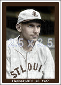 Fred Schulte - 1927 St. Louis Browns - choose a size & style
