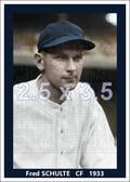 Fred Schulte - 1933 Washington Senators - choose a size & style