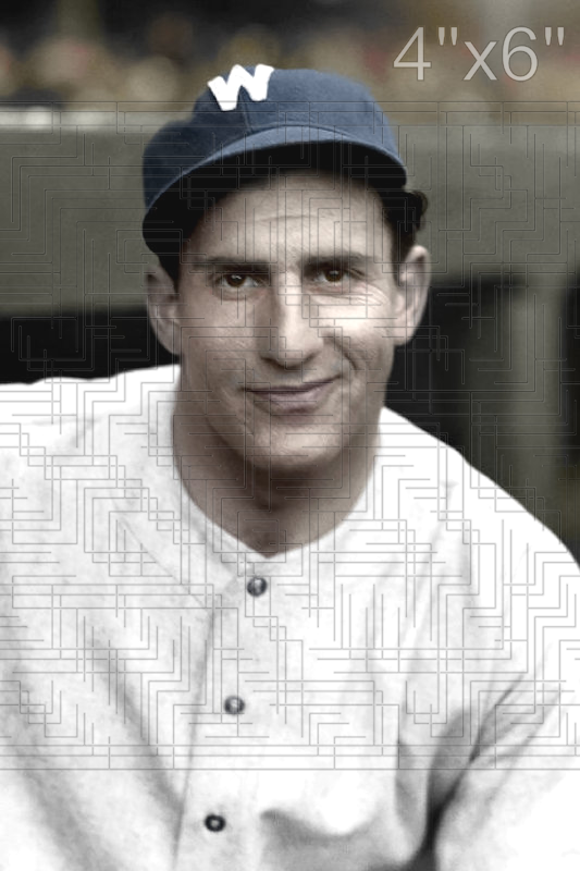 Fred Sington - 1935 Washington Senators - choose a size & style
