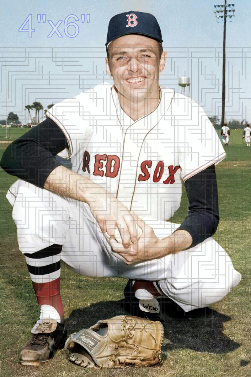 Fred Wenz - 1969 Boston Red Sox - choose a size & style