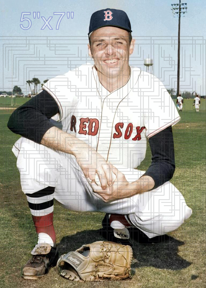 Fred Wenz - 1969 Boston Red Sox - choose a size & style