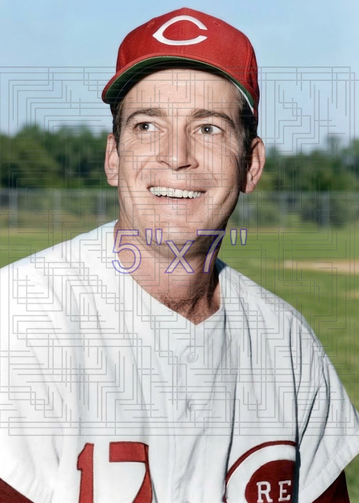 Fred Whitfield - 1968 Cincinnati Reds - choose a size & style