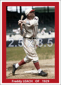 Freddy Leach - 1929 New York Giants - choose a size & style